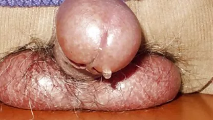 चार्ली लाईन, कैली लोगन, एमिली एडिसन और सेक्सी भोजपुरी मूवी वीडियो लेक्सी